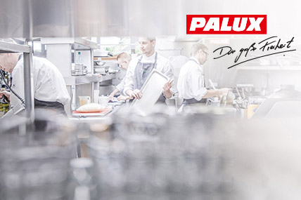 PALUX Banner