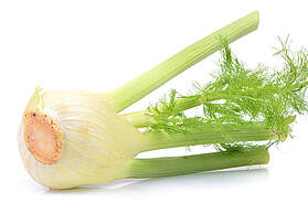 Fenchel Foto: © Valeriy Pauk/iStock/Getty Images