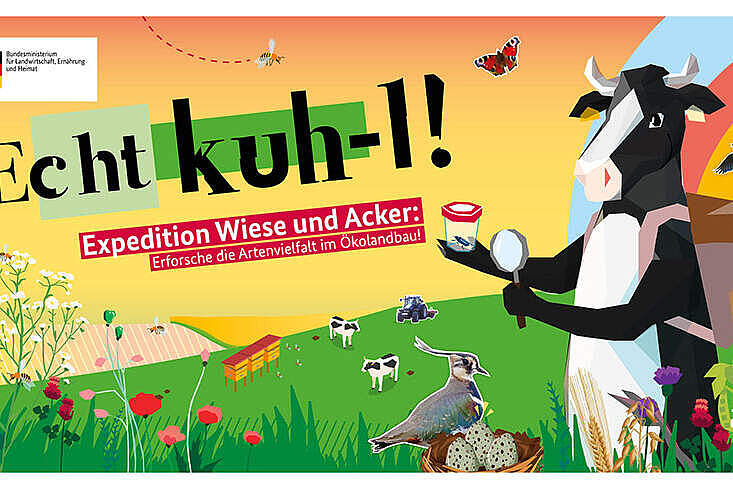 Wettbewerbsplakat „Echt kuh-l!“ 2026 zum Thema Artenvielfalt im Ökolandbau mit illustrativer Darstellung von Landwirtschaft, Tieren und Pflanzen.
