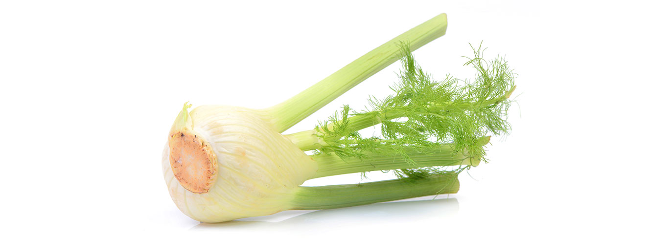 Fenchel Foto: © Valeriy Pauk/iStock/Getty Images